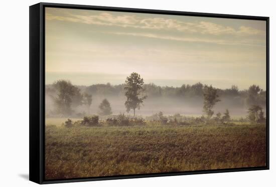 Lifting Fog-Jai Johnson-Framed Stretched Canvas