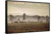 Lifting Fog-Jai Johnson-Framed Stretched Canvas