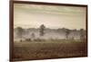 Lifting Fog-Jai Johnson-Framed Giclee Print