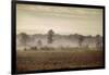 Lifting Fog-Jai Johnson-Framed Giclee Print