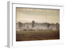 Lifting Fog-Jai Johnson-Framed Giclee Print