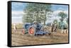 Lifting the Crop-Trevor Mitchell-Framed Stretched Canvas