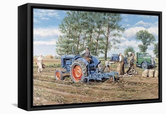 Lifting the Crop-Trevor Mitchell-Framed Stretched Canvas