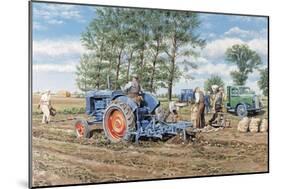 Lifting the Crop-Trevor Mitchell-Mounted Giclee Print