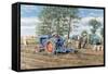 Lifting the Crop-Trevor Mitchell-Framed Stretched Canvas