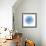 Light 1: Sea Urchin-Doris Mitsch-Framed Photographic Print displayed on a wall