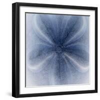 Light 2: Sea Biscuit Sand Dollar-Doris Mitsch-Framed Premium Photographic Print