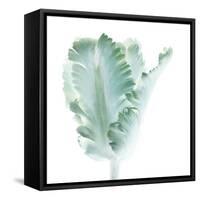 Light 3: parrot Tulip-Doris Mitsch-Framed Stretched Canvas