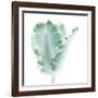 Light 3: parrot Tulip-Doris Mitsch-Framed Photographic Print