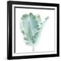 Light 3: parrot Tulip-Doris Mitsch-Framed Photographic Print