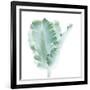 Light 3: parrot Tulip-Doris Mitsch-Framed Photographic Print