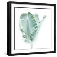 Light 3: parrot Tulip-Doris Mitsch-Framed Photographic Print