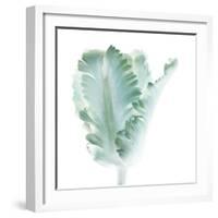 Light 3: parrot Tulip-Doris Mitsch-Framed Photographic Print