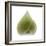 Light 4: Sacred Lotus Bud-Doris Mitsch-Framed Photographic Print