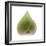 Light 4: Sacred Lotus Bud-Doris Mitsch-Framed Photographic Print