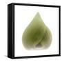 Light 4: Sacred Lotus Bud-Doris Mitsch-Framed Stretched Canvas