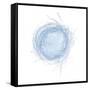 Light 5: Bird's Nest-Doris Mitsch-Framed Stretched Canvas