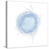 Light 5: Bird's Nest-Doris Mitsch-Stretched Canvas