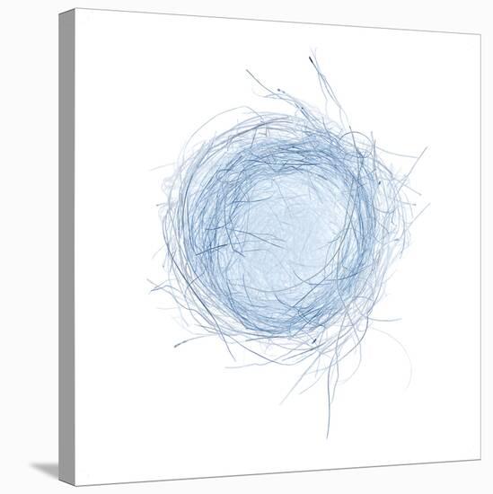 Light 5: Bird's Nest-Doris Mitsch-Stretched Canvas