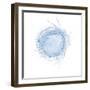 Light 5: Bird's Nest-Doris Mitsch-Framed Photographic Print