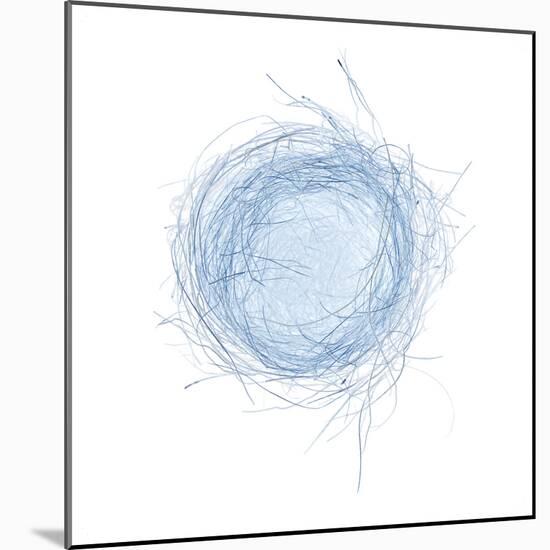 Light 5: Bird's Nest-Doris Mitsch-Mounted Photographic Print