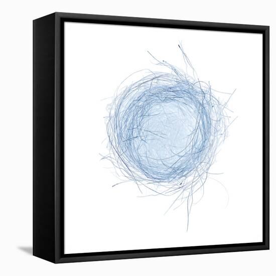 Light 5: Bird's Nest-Doris Mitsch-Framed Stretched Canvas