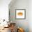 Light 6: Sunflower-Doris Mitsch-Framed Photographic Print displayed on a wall