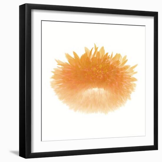 Light 6: Sunflower-Doris Mitsch-Framed Photographic Print