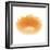 Light 6: Sunflower-Doris Mitsch-Framed Photographic Print