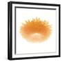 Light 6: Sunflower-Doris Mitsch-Framed Photographic Print