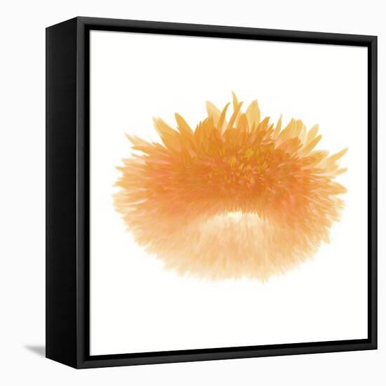 Light 6: Sunflower-Doris Mitsch-Framed Stretched Canvas