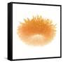 Light 6: Sunflower-Doris Mitsch-Framed Stretched Canvas