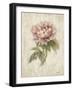 Light and Airy II-Cheri Blum-Framed Art Print