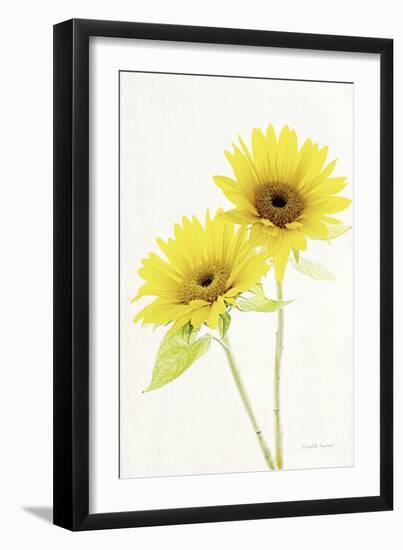 Light and Bright Floral VII-Elizabeth Urquhart-Framed Photo