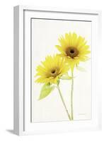 Light and Bright Floral VII-Elizabeth Urquhart-Framed Photo