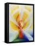 Light and Burning Candle, 2001-Annette Bartusch-Goger-Framed Stretched Canvas