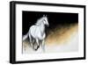 Light and Dark-Milenko Katic-Framed Giclee Print