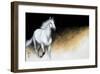 Light and Dark-Milenko Katic-Framed Giclee Print