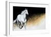 Light and Dark-Milenko Katic-Framed Giclee Print