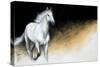 Light and Dark-Milenko Katic-Stretched Canvas