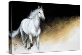 Light and Dark-Milenko Katic-Stretched Canvas