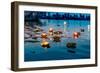 Light and Flower Offerings at Sunset on the River Ganges.-null-Framed Art Print