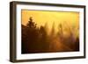 Light and Fog Attack Mount Tamalpais, Marin County, San Francisco-Vincent James-Framed Photographic Print