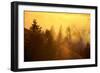 Light and Fog Attack Mount Tamalpais, Marin County, San Francisco-Vincent James-Framed Photographic Print