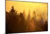 Light and Fog Attack Mount Tamalpais, Marin County, San Francisco-Vincent James-Mounted Photographic Print
