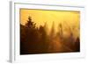 Light and Fog Attack Mount Tamalpais, Marin County, San Francisco-Vincent James-Framed Photographic Print