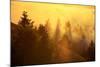 Light and Fog Attack Mount Tamalpais, Marin County, San Francisco-Vincent James-Mounted Photographic Print