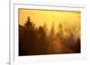 Light and Fog Attack Mount Tamalpais, Marin County, San Francisco-Vincent James-Framed Photographic Print