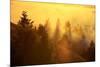 Light and Fog Attack Mount Tamalpais, Marin County, San Francisco-Vincent James-Mounted Photographic Print