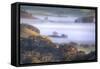 Light and Fog Moving Through Petaluma Hills, California-Vincent James-Framed Stretched Canvas